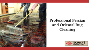 Professional Persian Rug Cleaning in TN & MS