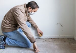 Man Removing Mold from the Carpet